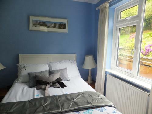 Bed & Breakfast Shrubdown