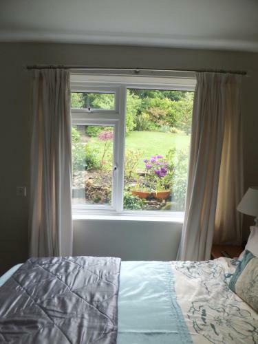 Bed & Breakfast Shrubdown