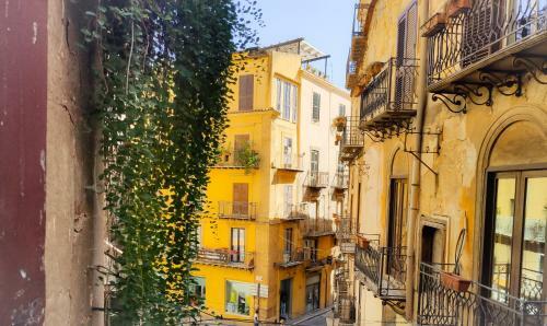 Hostal Casa Montana