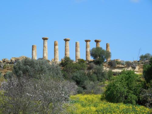 Giardino Della Nonna Bice - Locazioni Turistiche