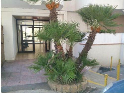 San Leone Apartment