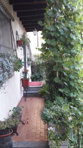 Apartamento "la Taverna" B&B