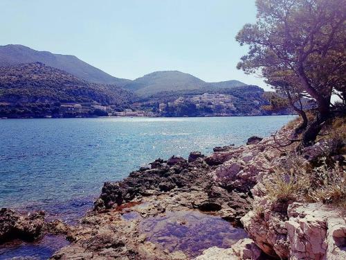 Apartamentos Hanas Dream Places