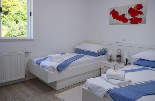 Luxury Villa Dalia Dubrovnik With Private Pool