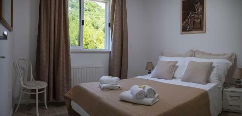 Luxury Villa Dalia Dubrovnik With Private Pool