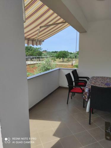 Apartments Zaton Draga
