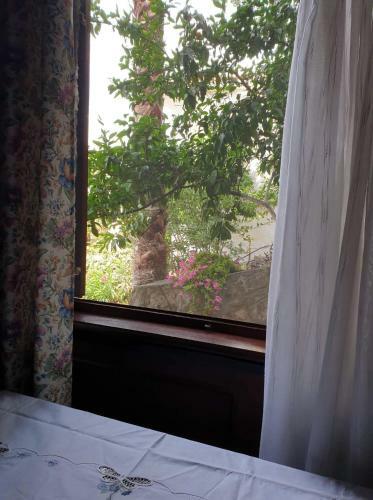 Apartman Veliki Pijesak