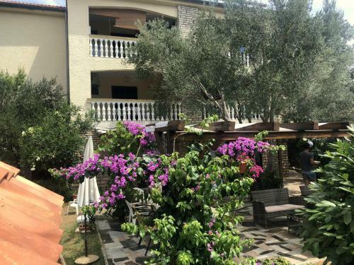 Hostal Guesthouse Vila Ruzmarin