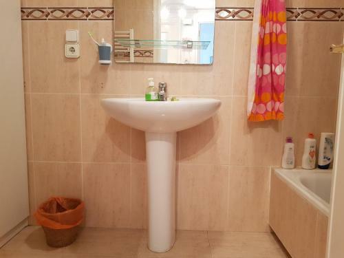 Apartamentos Apolo12 (1-1�-b)