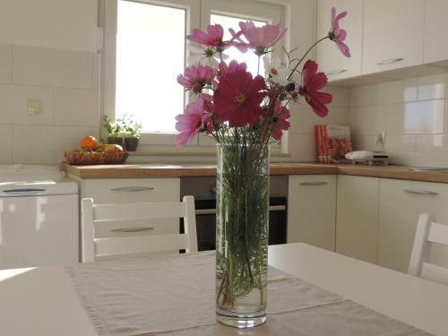 Apartman S Pogledom