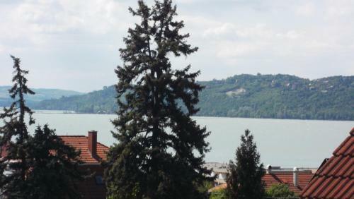 Anita Apartmanh�z