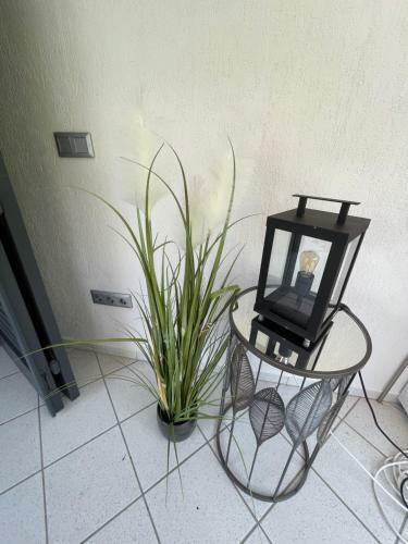 Lacus Pelso Holiday Home