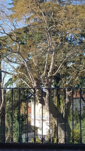 Apartamento Monolocale Turistico Valentini