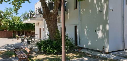 Bed & Breakfast Garden Club Panzi�