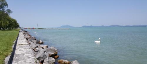 Apartamento Lelle Resort B20