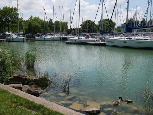 Apartment In Balatonlelle 36821