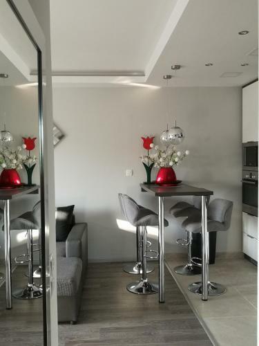 Apartamento Silver Gray Appartment