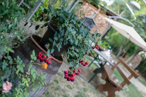 Bed & Breakfast Il Germano Reale
