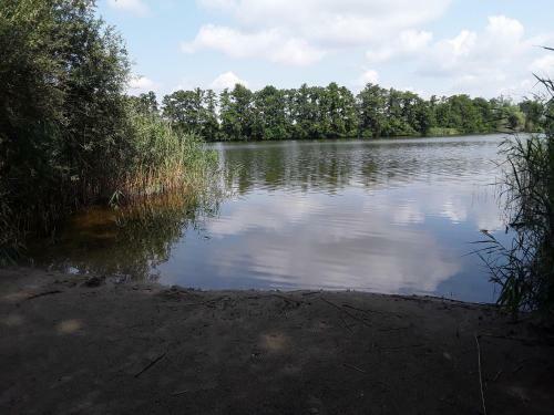 Der Natur Ganz Nah