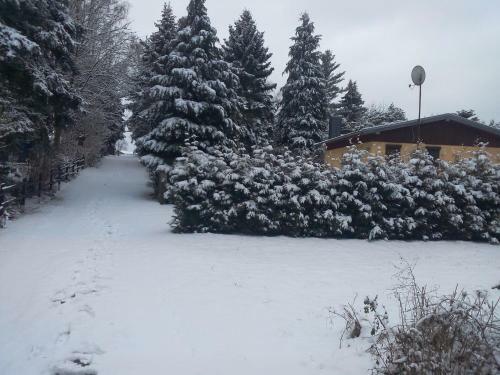 Der Natur Ganz Nah