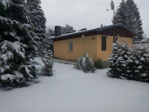 Der Natur Ganz Nah