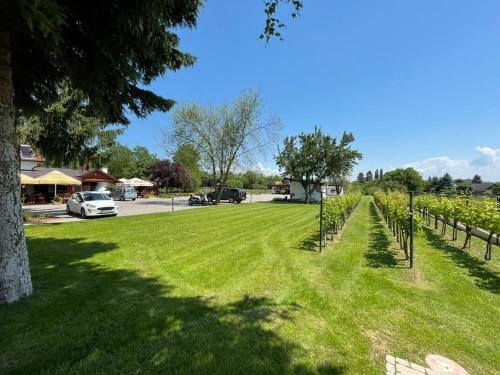 Bed & Breakfast Kukorica Cs�rda Apartman