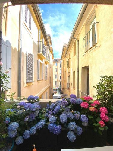 Apartamento Appartement Luxe Terrasse Climatisation Centre D Aix