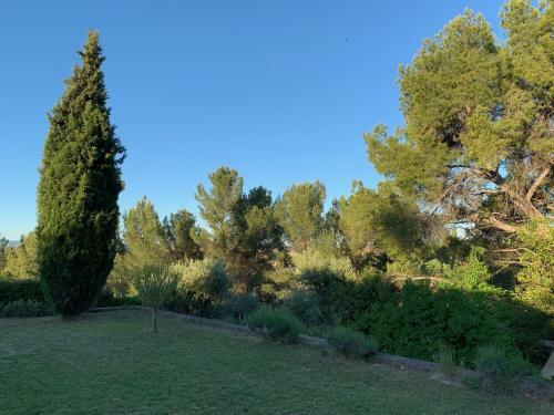 Bed & Breakfast Le Mas Des Pignes -adults Only