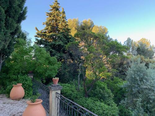 Bed & Breakfast Le Mas Des Pignes -adults Only