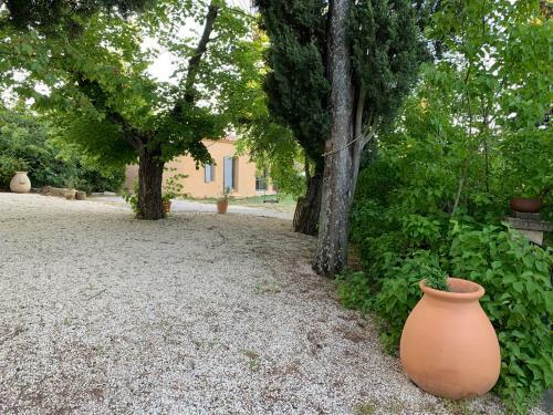 Bed & Breakfast Le Mas Des Pignes -adults Only