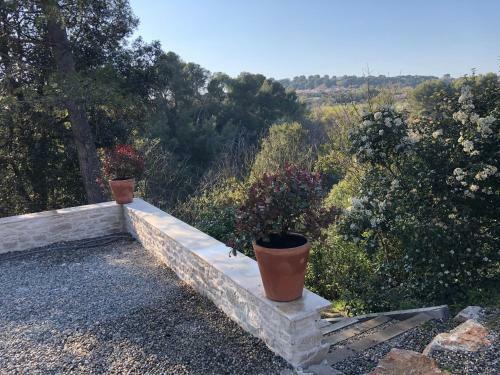 Bed & Breakfast Le Mas Des Pignes -adults Only