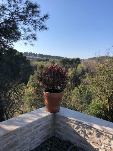 Bed & Breakfast Le Mas Des Pignes -adults Only