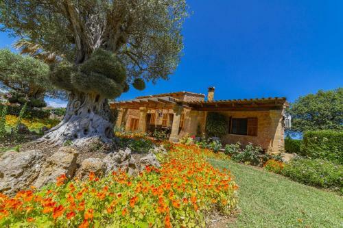 Villa Contesas