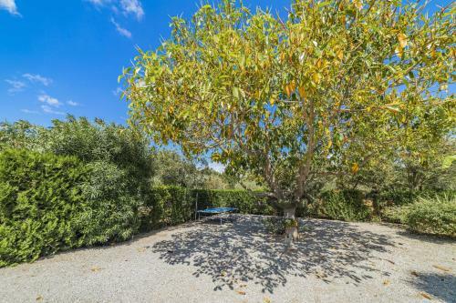 Villa Compteses Petit