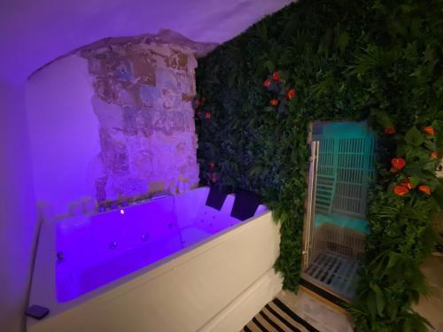 Apartamento Moment Aixois