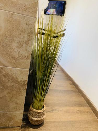 Apartamento Duplex Bellevue Spa Privatif Toit D'aix