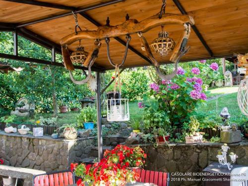 Bed & Breakfast Il Casolare Bioenergetico