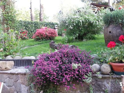 Bed & Breakfast Il Casolare Bioenergetico