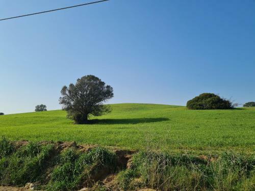 Agroturismo Agriturismo Buonavista