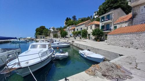 Apartmani Antonini 1
