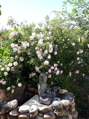 Bed & Breakfast La M�d�enne