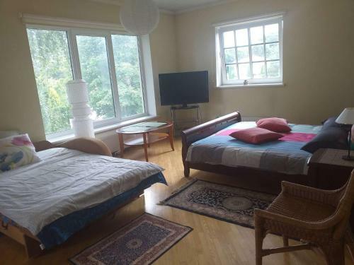 Agroturismo Guest House Pechersky & Sons