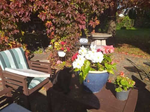 Agroturismo Guest House Pechersky & Sons