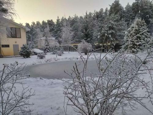 Agroturismo Guest House Pechersky & Sons