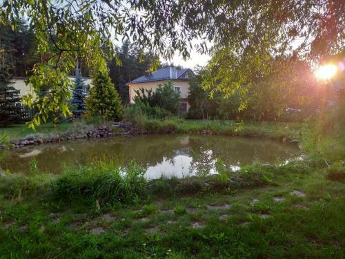 Agroturismo Guest House Pechersky & Sons