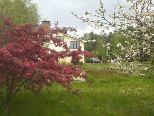 Agroturismo Guest House Pechersky & Sons