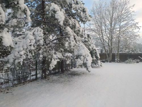 Agroturismo Guest House Pechersky & Sons