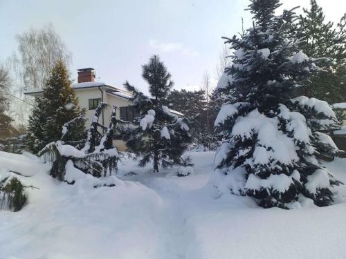 Agroturismo Guest House Pechersky & Sons