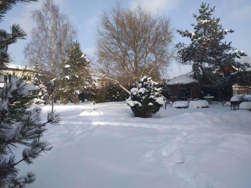 Agroturismo Guest House Pechersky & Sons