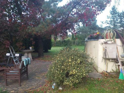 Agroturismo Guest House Pechersky & Sons